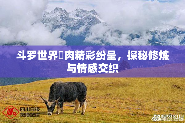 斗罗世界婬肉精彩纷呈，探秘修炼与情感交织