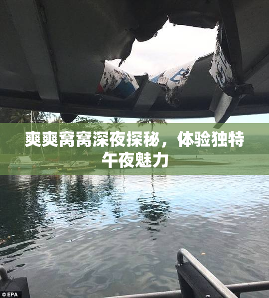 爽爽窝窝深夜探秘，体验独特午夜魅力