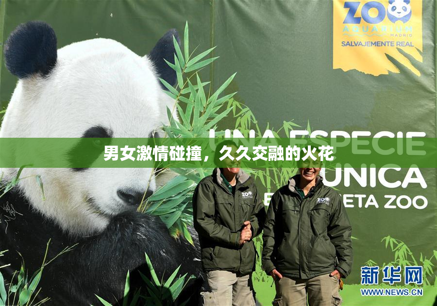 男女激情碰撞，久久交融的火花