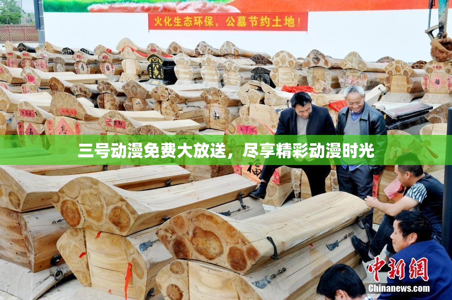 三号动漫免费大放送，尽享精彩动漫时光