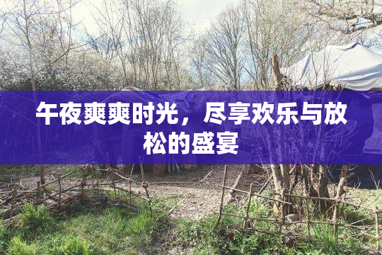 午夜爽爽时光，尽享欢乐与放松的盛宴