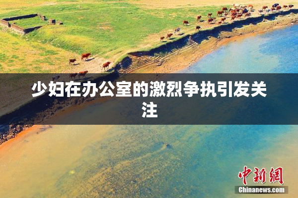 少妇在办公室的激烈争执引发关注