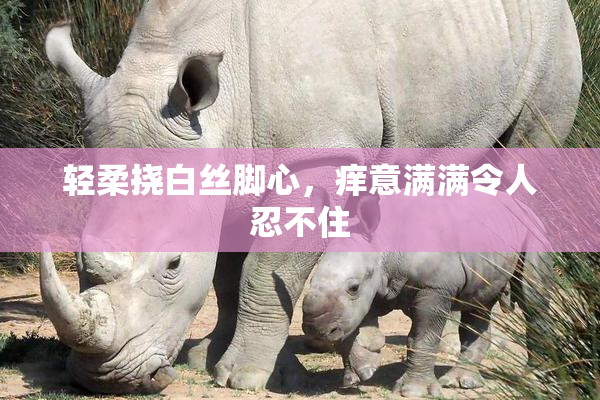轻柔挠白丝脚心，痒意满满令人忍不住