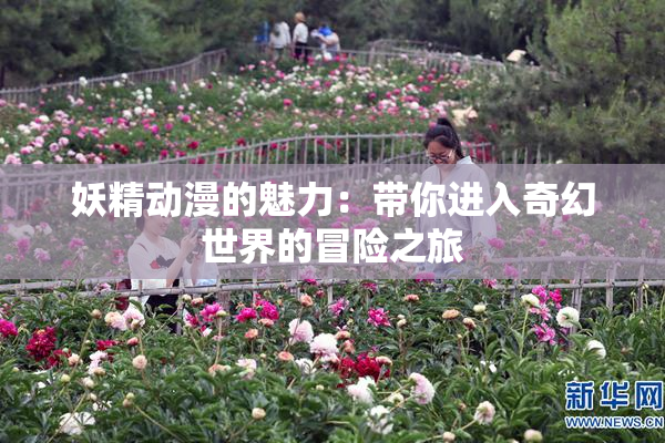 妖精动漫的魅力：带你进入奇幻世界的冒险之旅