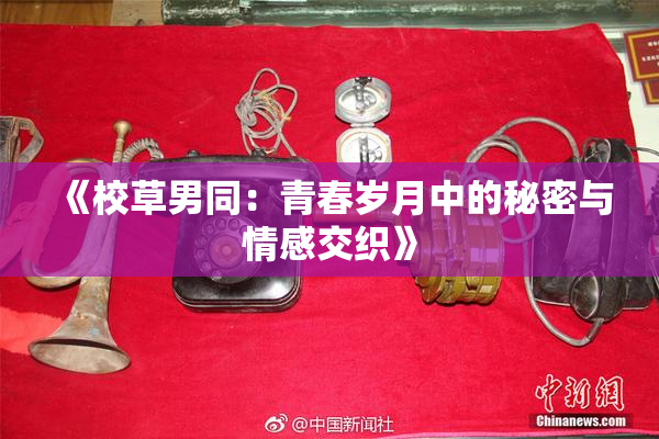 《校草男同：青春岁月中的秘密与情感交织》