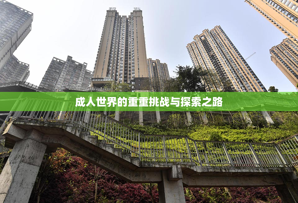 成人世界的重重挑战与探索之路