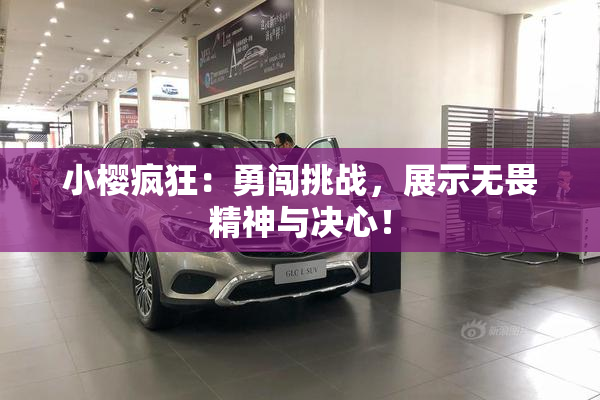 小樱疯狂：勇闯挑战，展示无畏精神与决心！