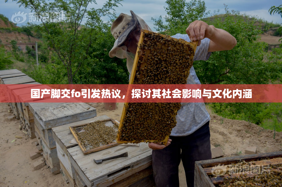 国产脚交fo引发热议，探讨其社会影响与文化内涵