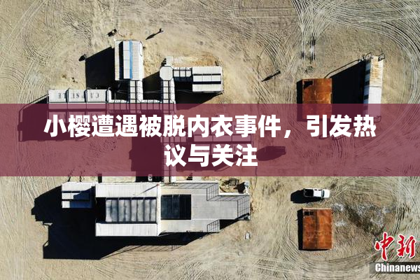 小樱遭遇被脱内衣事件，引发热议与关注