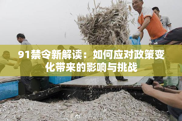 91禁令新解读：如何应对政策变化带来的影响与挑战