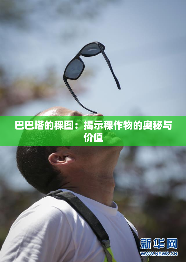 巴巴塔的稞图：揭示稞作物的奥秘与价值