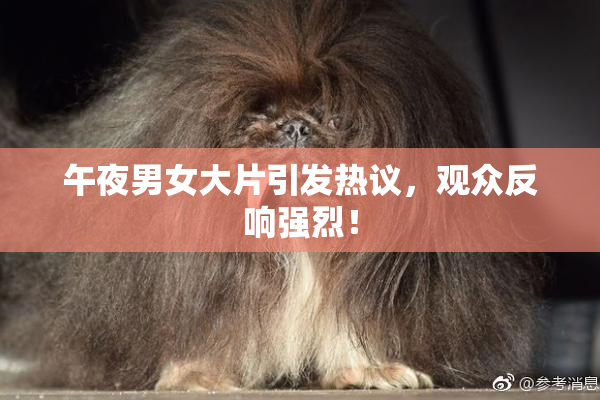 午夜男女大片引发热议，观众反响强烈！