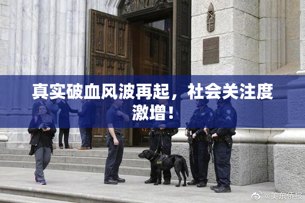 真实破血风波再起，社会关注度激增！