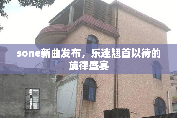 sone新曲发布，乐迷翘首以待的旋律盛宴