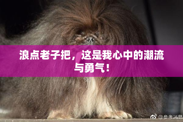 浪点老子把，这是我心中的潮流与勇气！
