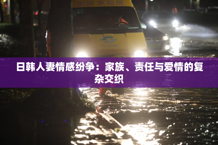 日韩人妻情感纷争：家族、责任与爱情的复杂交织