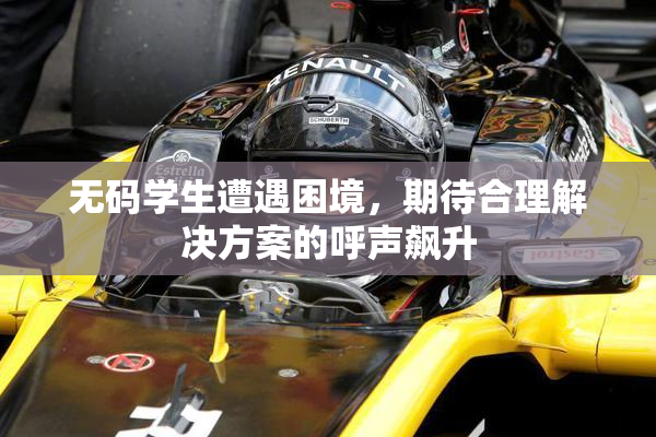 无码学生遭遇困境，期待合理解决方案的呼声飙升