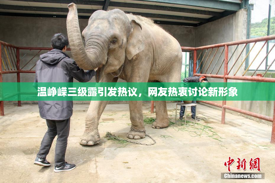 温峥嵘三级露引发热议，网友热衷讨论新形象