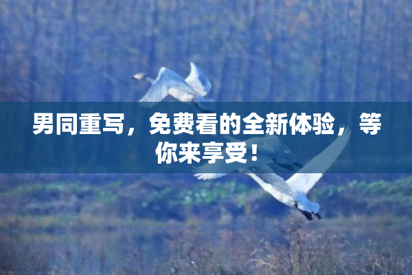 男同重写，免费看的全新体验，等你来享受！