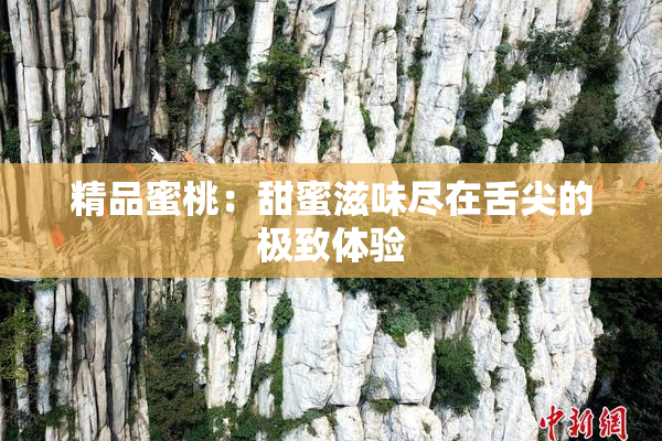 精品蜜桃：甜蜜滋味尽在舌尖的极致体验