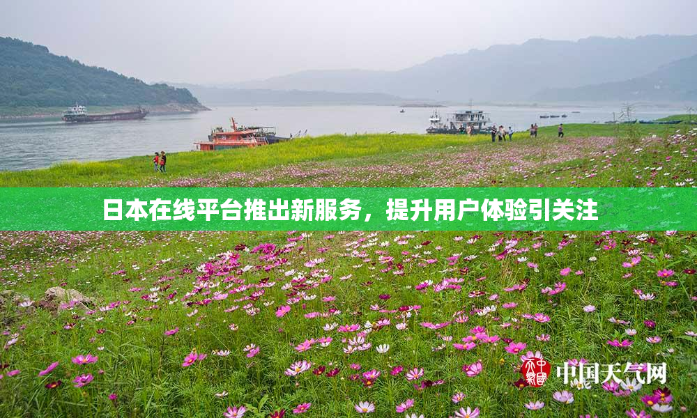日本在线平台推出新服务，提升用户体验引关注