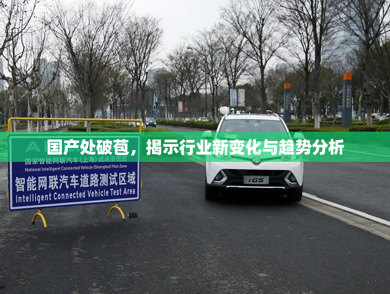 国产处破苞，揭示行业新变化与趋势分析
