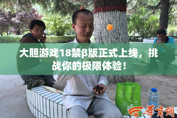 大胆游戏18禁β版正式上线，挑战你的极限体验！