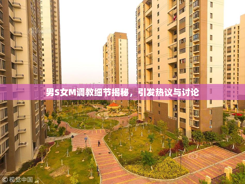 男S女M调教细节揭秘，引发热议与讨论