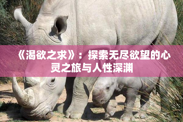 《渴欲之求》：探索无尽欲望的心灵之旅与人性深渊