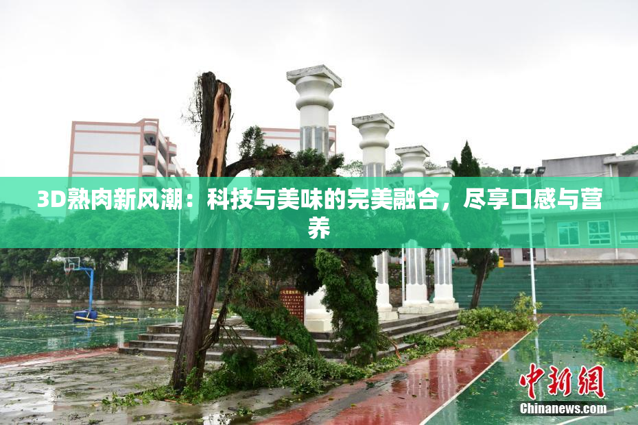 3D熟肉新风潮：科技与美味的完美融合，尽享口感与营养
