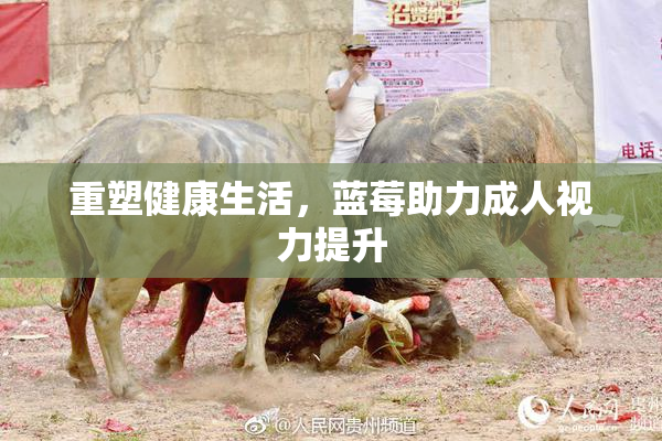 重塑健康生活，蓝莓助力成人视力提升