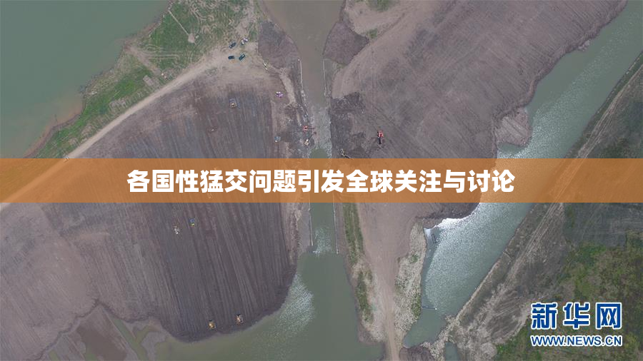 各国性猛交问题引发全球关注与讨论