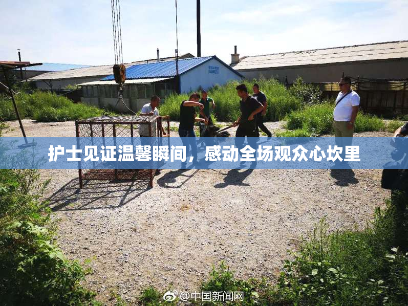 护士见证温馨瞬间，感动全场观众心坎里