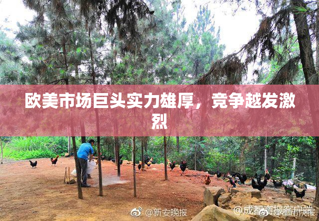 欧美市场巨头实力雄厚，竞争越发激烈