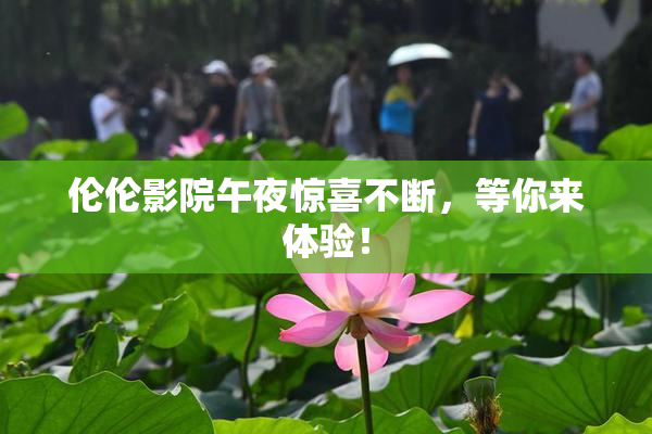 伦伦影院午夜惊喜不断，等你来体验！