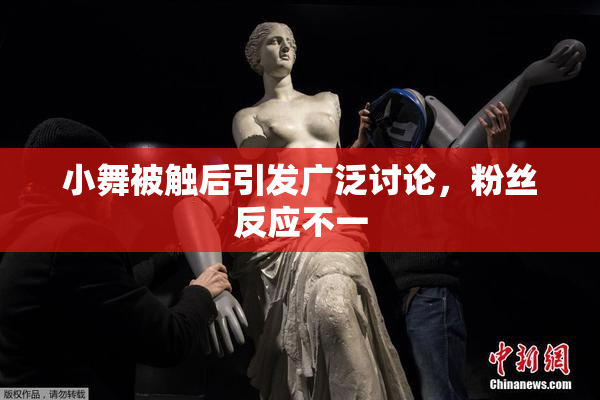 小舞被触后引发广泛讨论，粉丝反应不一