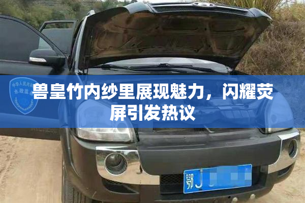兽皇竹内纱里展现魅力，闪耀荧屏引发热议