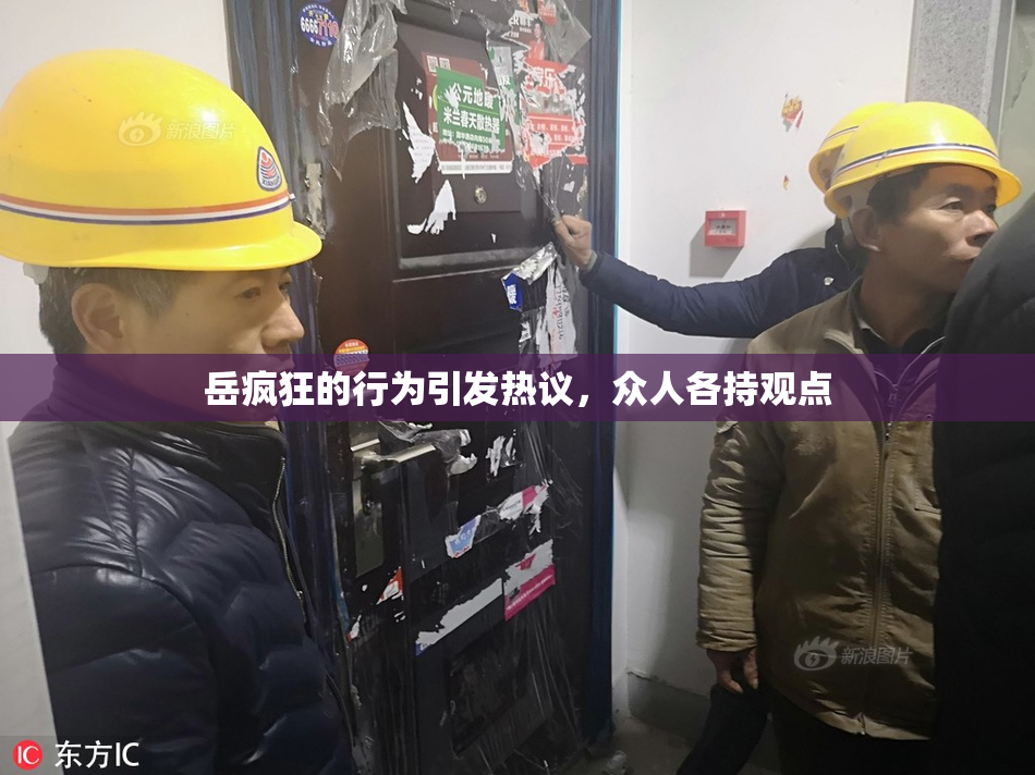 岳疯狂的行为引发热议，众人各持观点