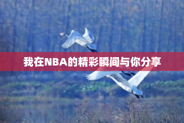 我在NBA的精彩瞬间与你分享
