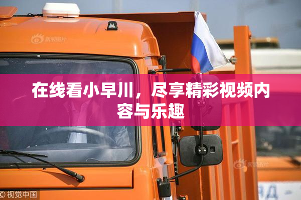 在线看小早川，尽享精彩视频内容与乐趣