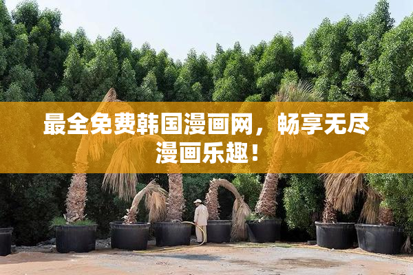 最全免费韩国漫画网，畅享无尽漫画乐趣！