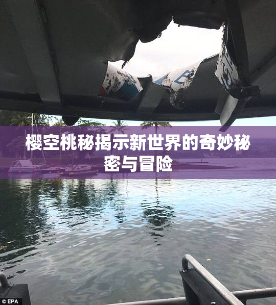 樱空桃秘揭示新世界的奇妙秘密与冒险