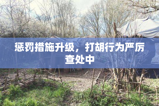 惩罚措施升级，打胡行为严厉查处中