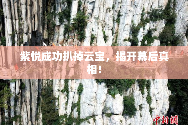 紫悦成功扒掉云宝，揭开幕后真相！