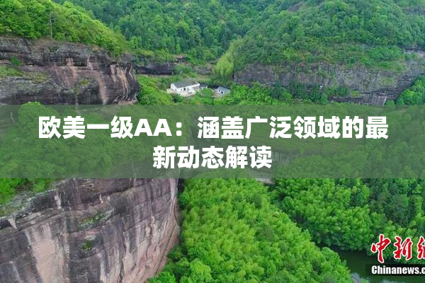 欧美一级AA：涵盖广泛领域的最新动态解读