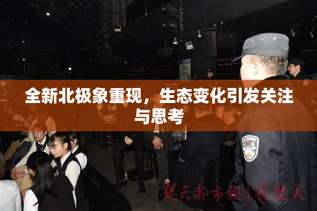 全新北极象重现，生态变化引发关注与思考