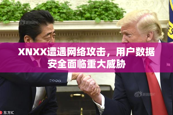 XNXX遭遇网络攻击，用户数据安全面临重大威胁