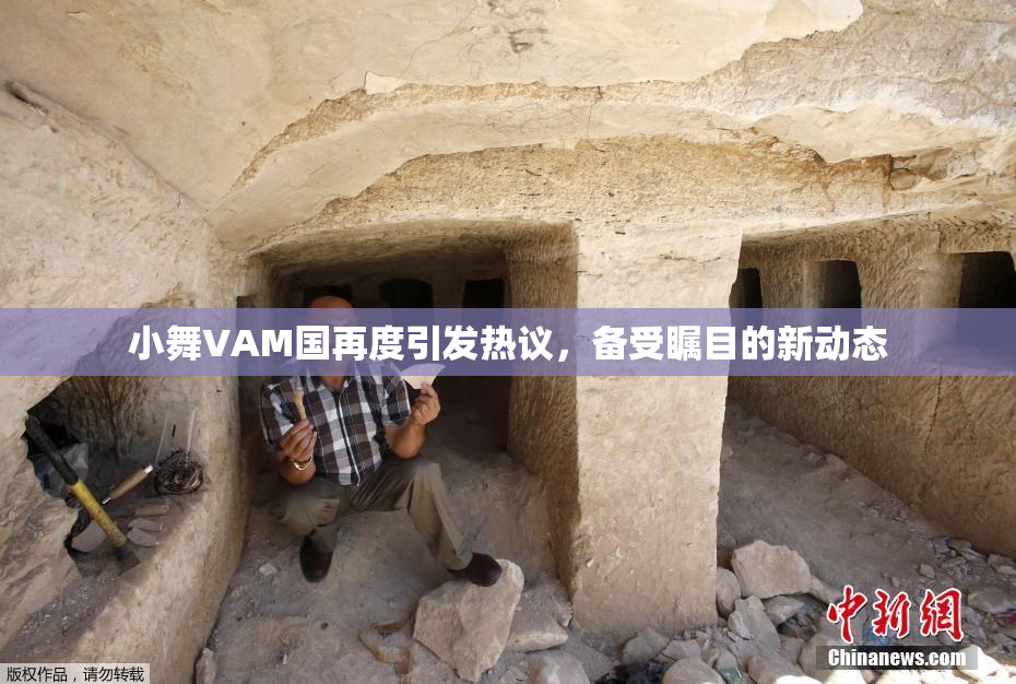 小舞VAM国再度引发热议，备受瞩目的新动态