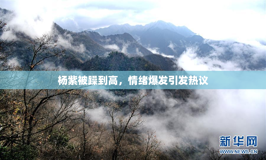 杨紫被躁到高，情绪爆发引发热议