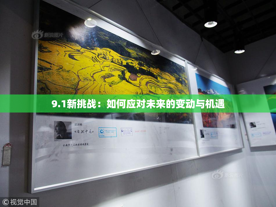 9.1新挑战：如何应对未来的变动与机遇